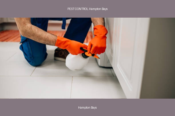 PEST CONTROL Hampton Bays